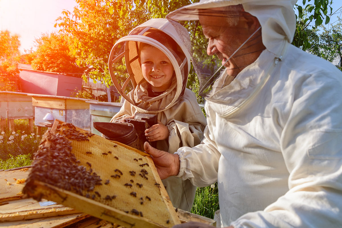 Bienenpatenschaften sind ein Naturerlebnis für jung und alt.