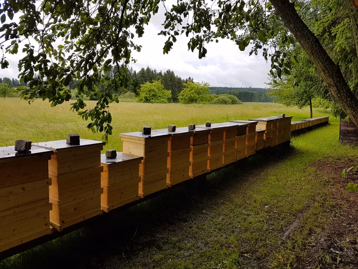 Stand Bienen Schmidt