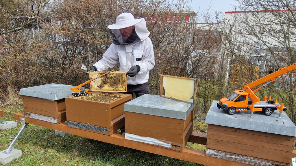 Hermann und Wittrock