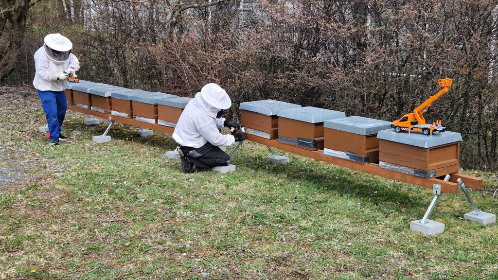 Hermann und Wittrock