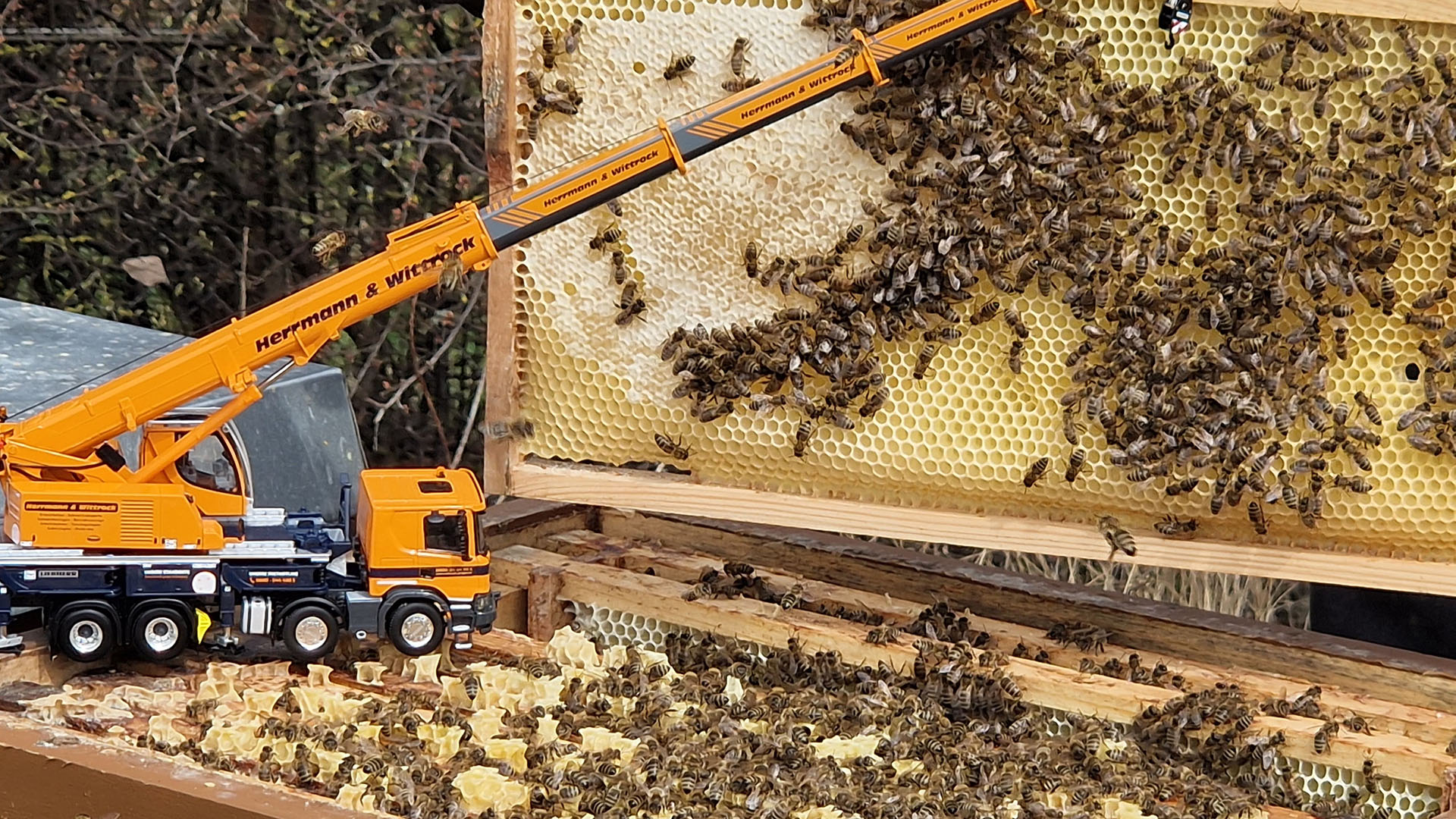 Herrmann und Wittrock