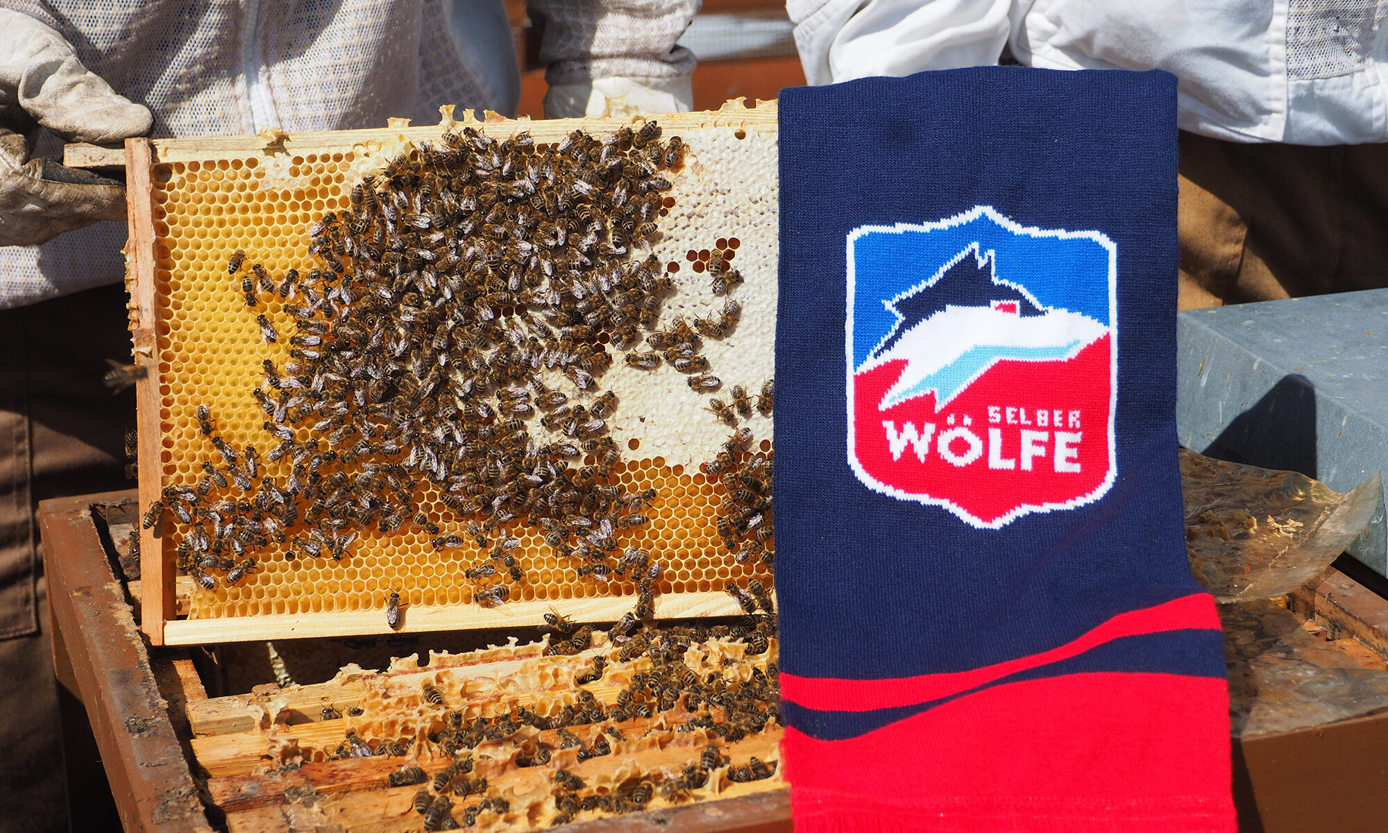 Von Wölfen und Bienen