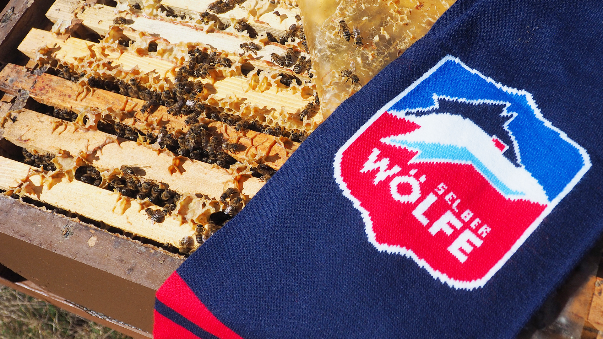 Von Wölfen und Bienen