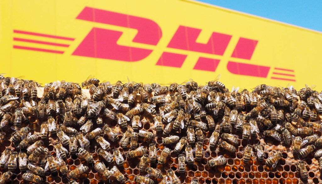 DHL Bienen